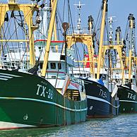 Trawler vissersboten in de haven van Oudeschild, Texel, Nederland
